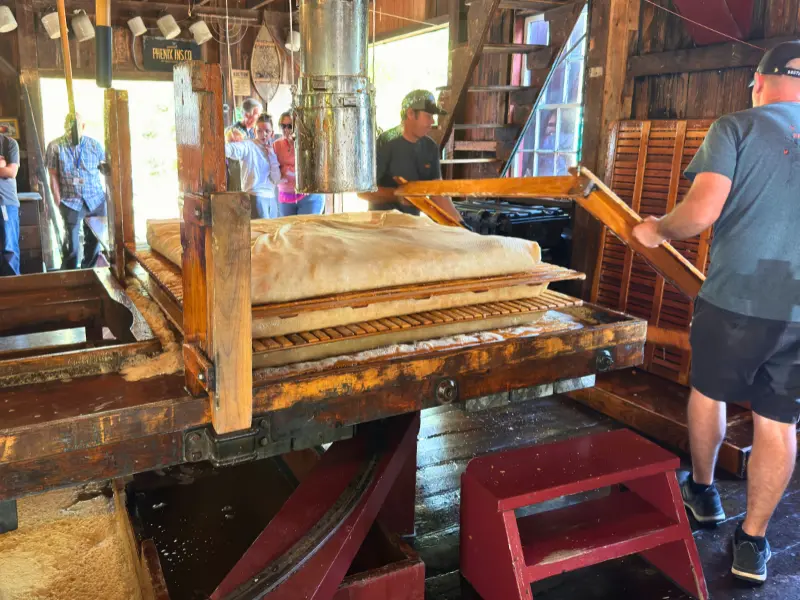 Pressing apple cider at B.F. Clyde Cider Mill in Mystic, CT