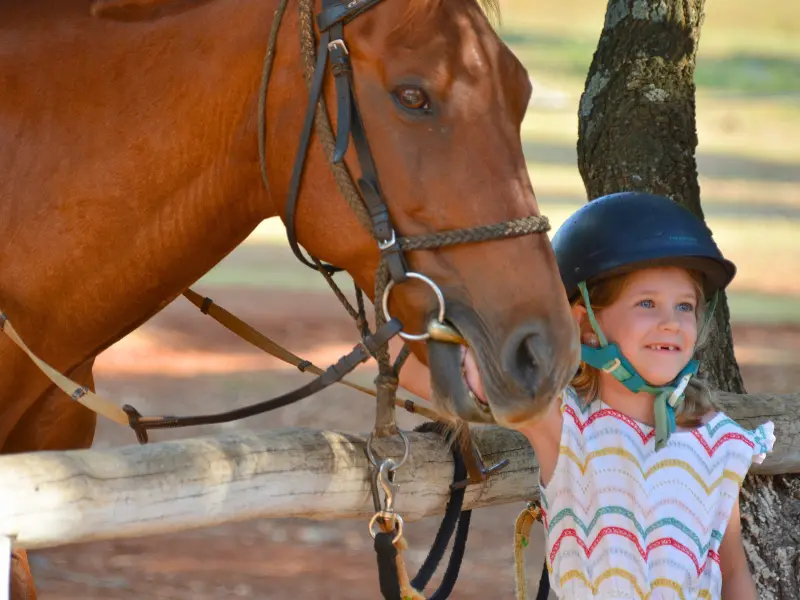 A young girl smiling next to a horse outside