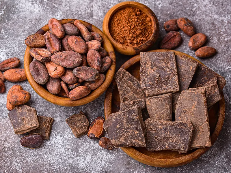 Cocoa beans and chocolate pieces used in Factory Tours at Taza.