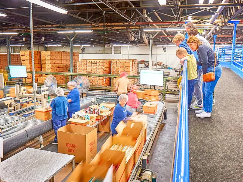 Visitors watching potato chips on the Herr’s Factory Tours production line.