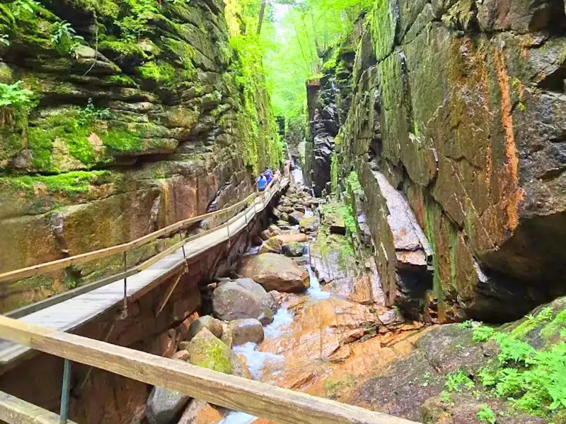 Boardwalk trail through the narrow canyon walls of Flume Gorge in Lincoln, NH.