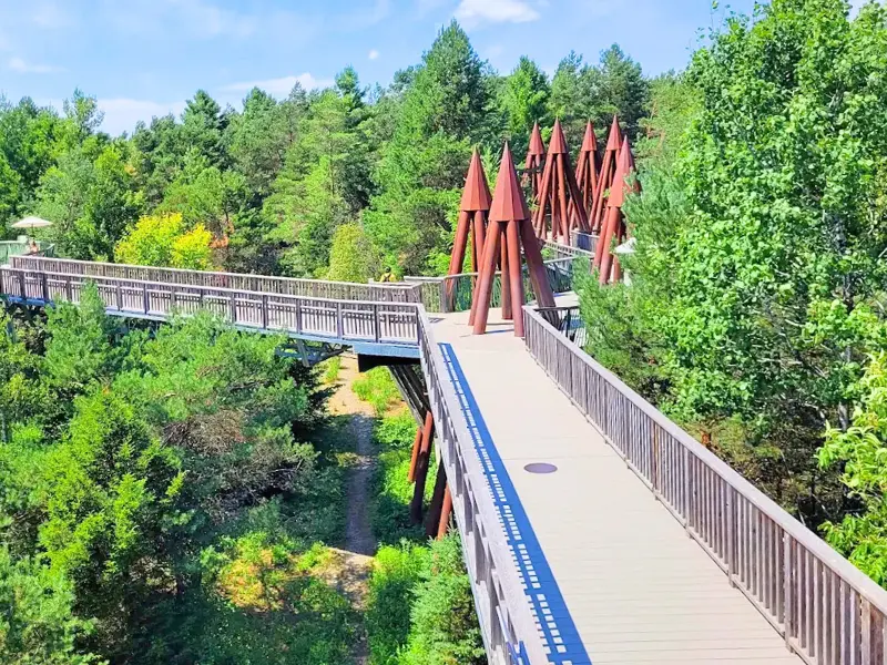 Treetop walkway through forest canopy at The Wild Center in Tupper Lake, NY
