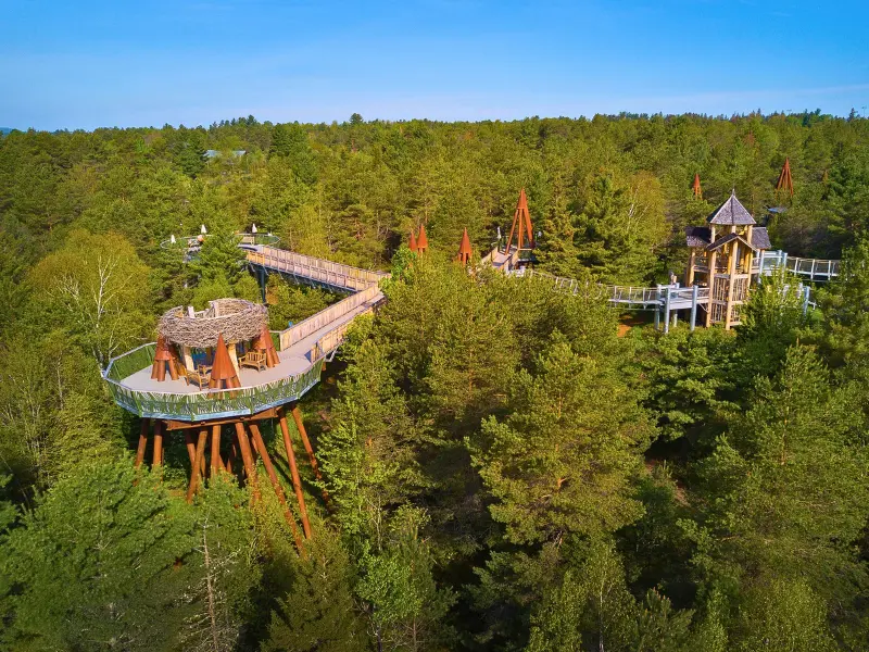 Aerial view of The Wild Center Wild Walk in Tupper Lake Upstate New York.