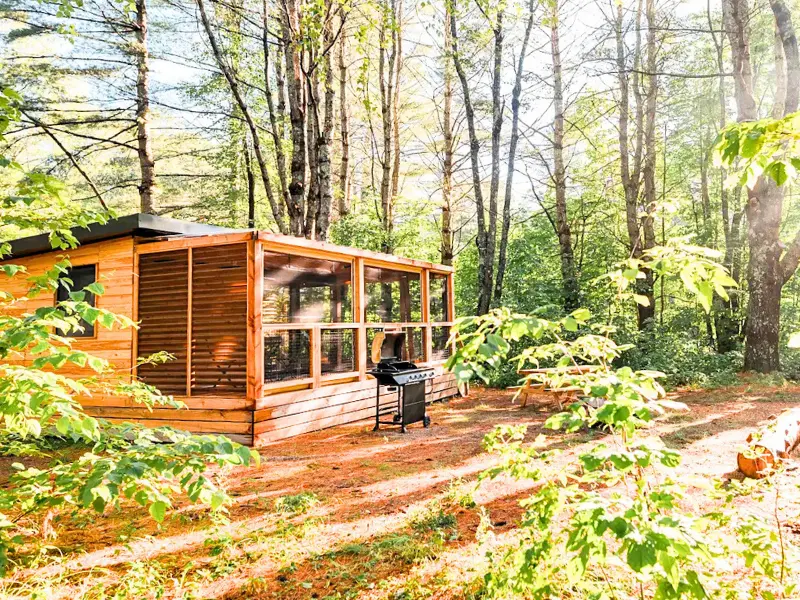 Huttopia White Mountains cabin surrounded by fall trees.