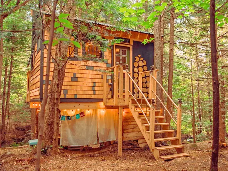 Stone City Treehouse in Vermont surrounded by forest