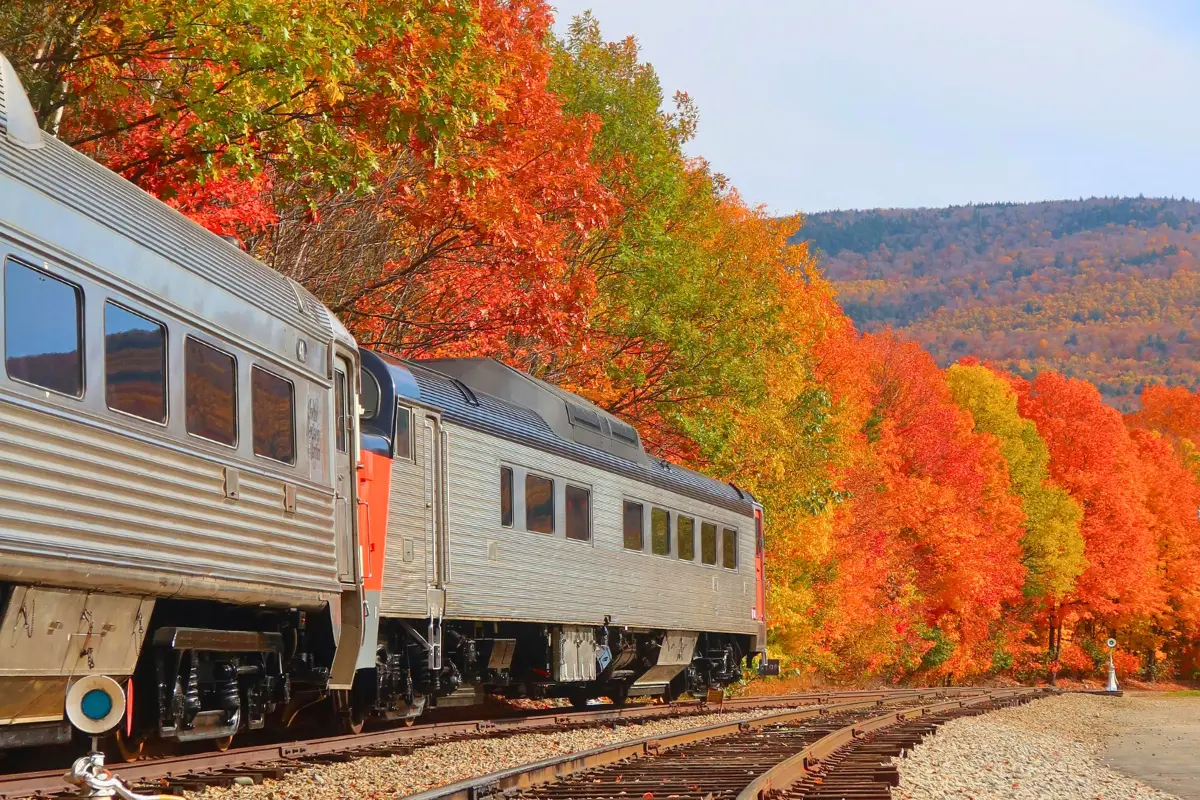 Silver railcars in front of red and orange trees on a peak-season fall foliage train rides.