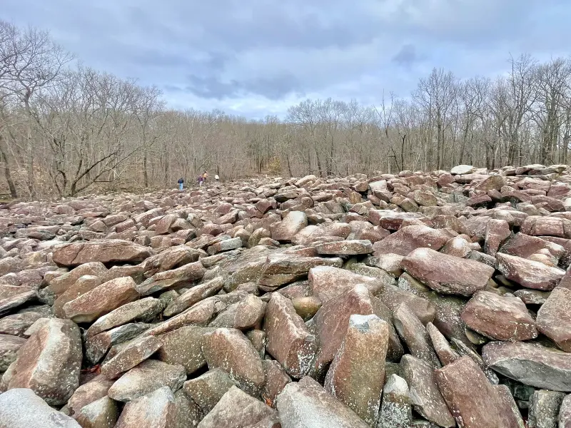 Boulder field at Ringing Rocks County Park in Pennsylvania where rocks ring when struck, a unique free outdoor attraction